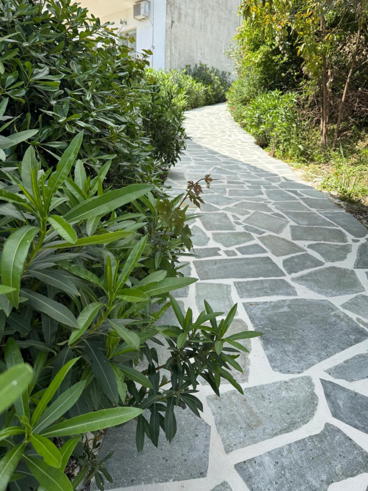 Skiathos Country Studios Экстерьер фото